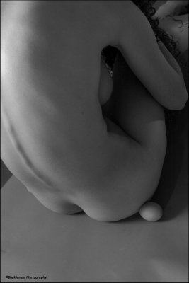 5247a.jpg