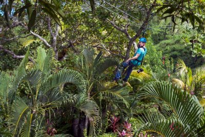 Mayan Jungle Canopy