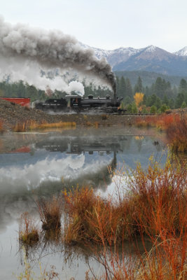 Sumpter Valley Railway - Train and Redtwig Dogwood.jpg