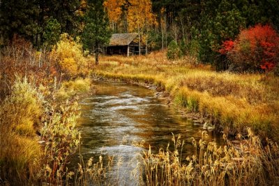 Old Cabin in the Woods - McCall, Idaho