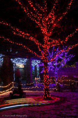 Boise Botanical Garden a Glow Dec 31 2015_-12.jpg