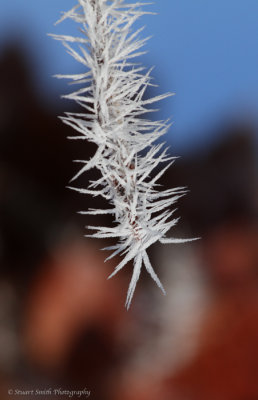 Ice crystal formations