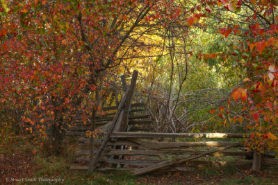 Fall fence