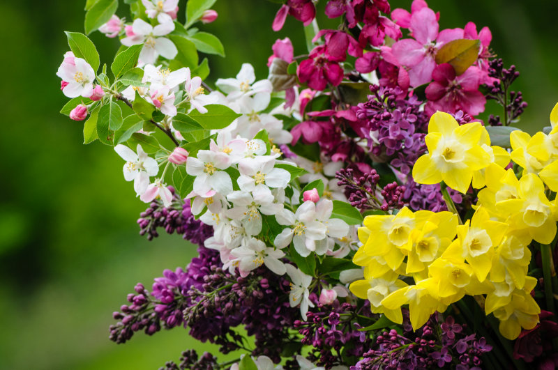 Spring bouquet