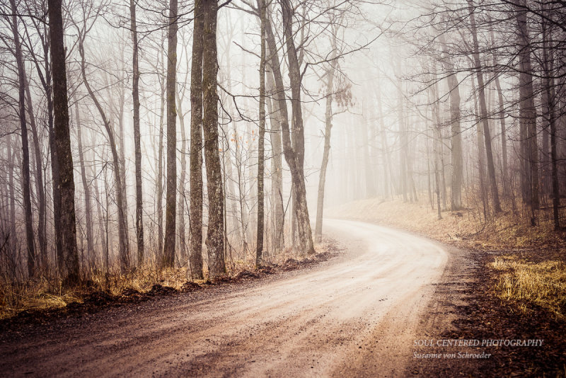 Foggy morning drive