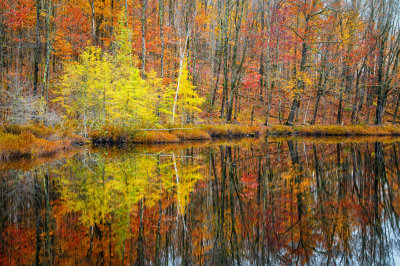 Perch Lake, late fall
