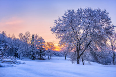 Spring in Wisconsin!?