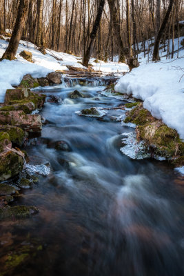 Creek in Blue Hills