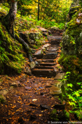 Hobbit steps