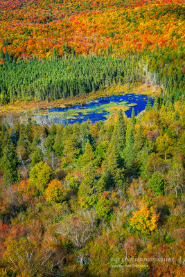 View from Oberg Mountain 6