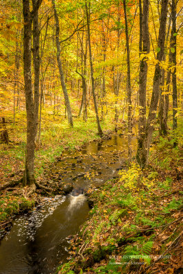 Gundi's Canyon 3