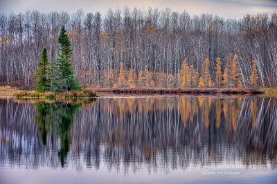 Audie Lake, late fall reflections