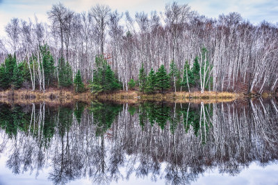 Audie Lake, Birch trees and Spruce reflection