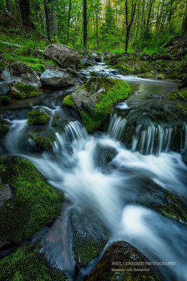 A favorite creek