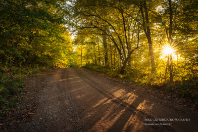 Sun beams