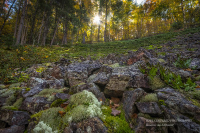 Blue Hills Felsenmeer 5