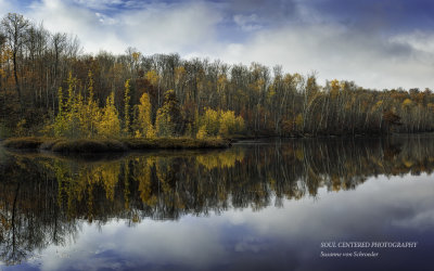 Tamaracks near boat landing