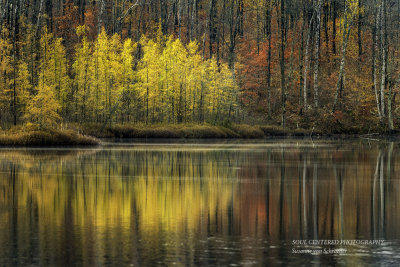 Colorful reflections