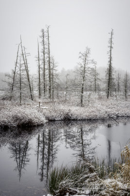 First snowfall