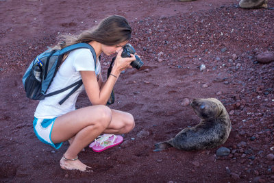 Sea Lion Encounter