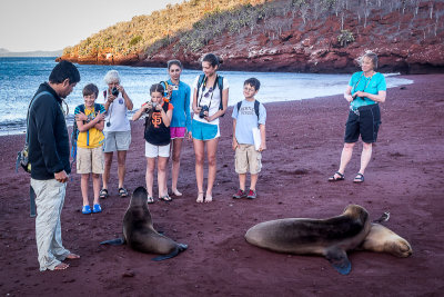 Sea Lion Encounter on Rabida Island (#4)