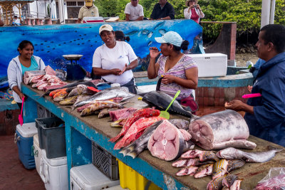 Local Fish Market