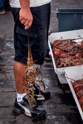 Local Fish Market