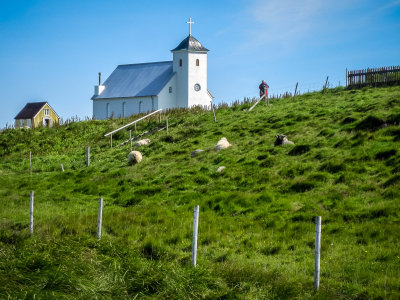 Sheep in the Pasture