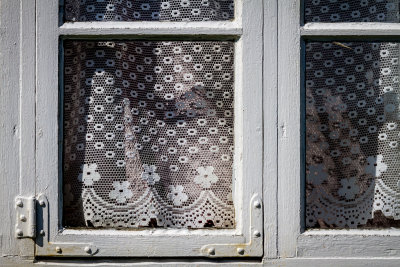 Lace in the Window