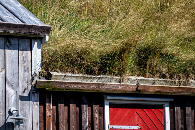 A Grass Roof