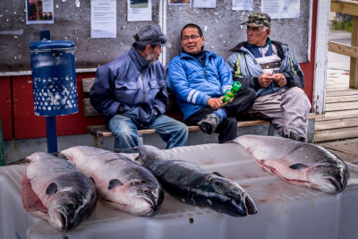 Qaqortoq Fishermen