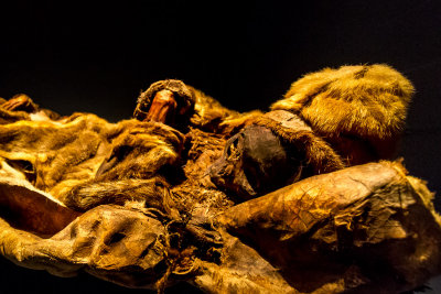 The Qilakitsoq Mummies