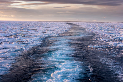 Sea Ice