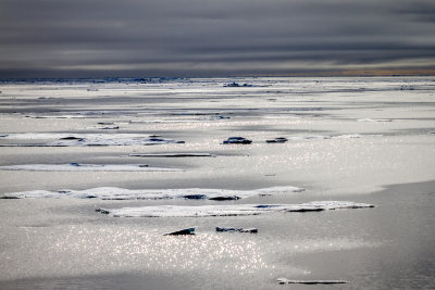 Sea Ice
