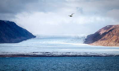 Glacier