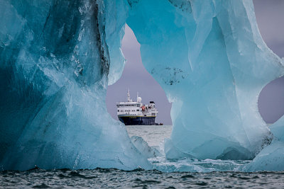 Icebergs Up Close