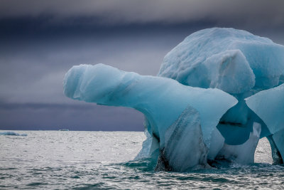 Icebergs Up Close
