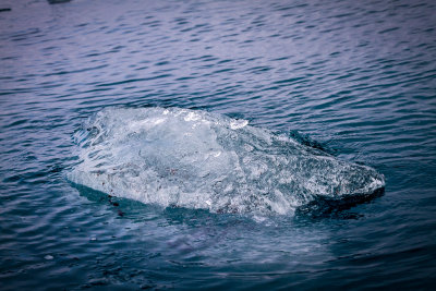 Icebergs Up Close