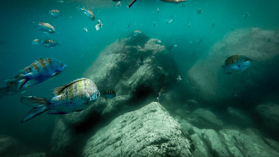 Underwater