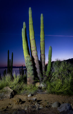 Night Photography