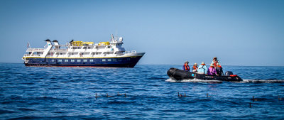 A Cruise Around the Island