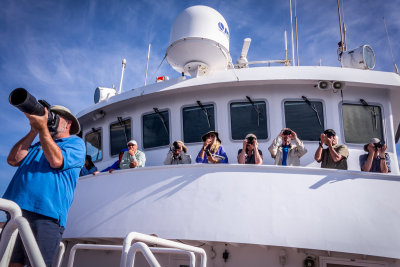 Whale Watch