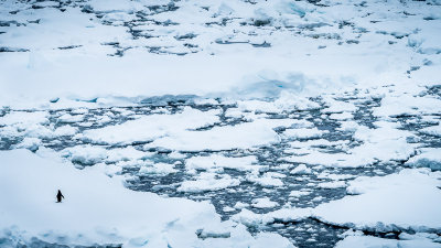 Snow and Ice