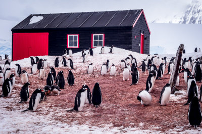 Port Lockroy