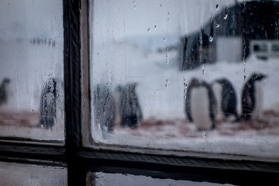 Port Lockroy