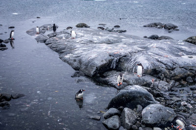 Port Lockroy