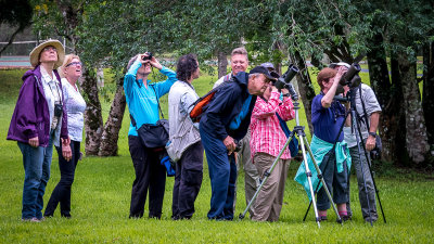 Bird Walk