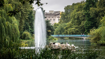 Walking Through the Park