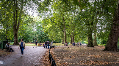 Walking Through the Park