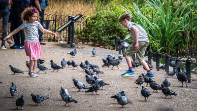 Walking Through the Park